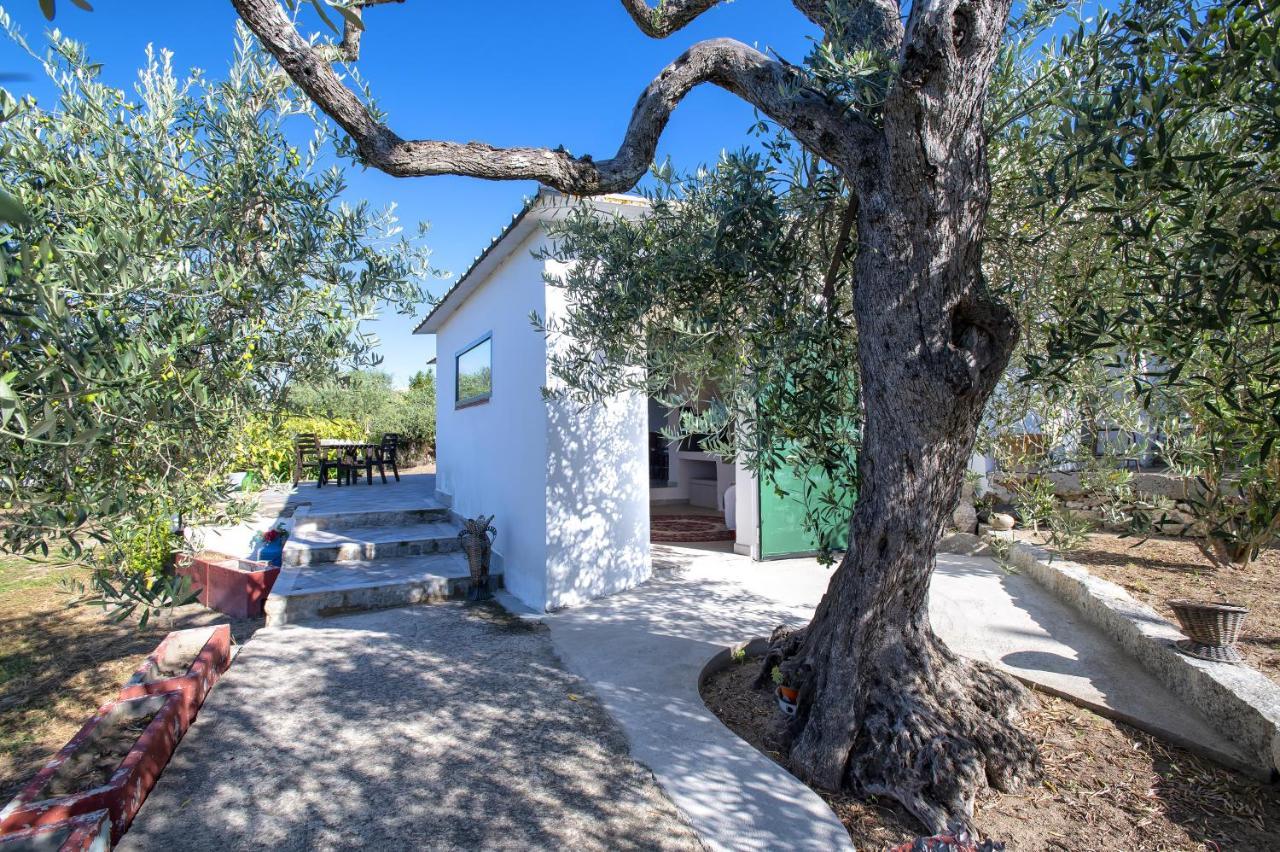 Casa Rina Villa Sassari Eksteriør billede